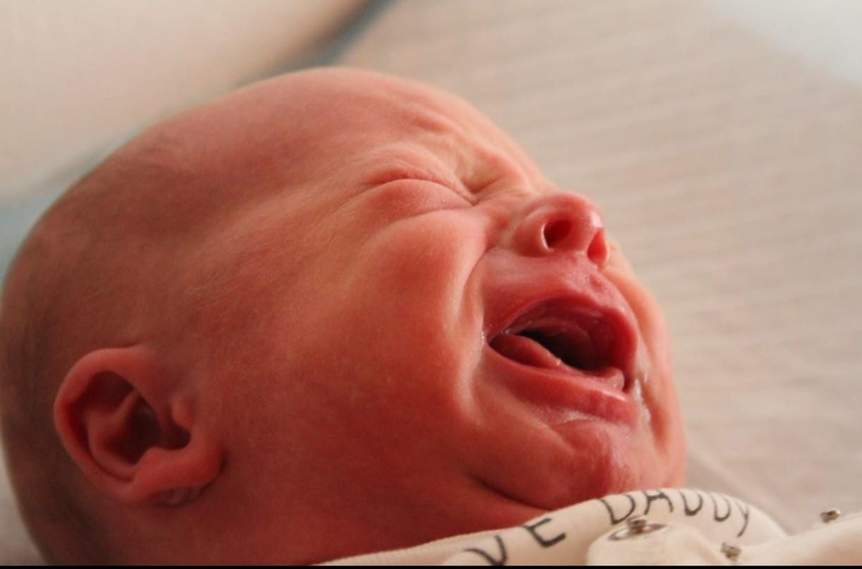 WhatsApp Image 2026-02-17 at 19.18.49 (2)